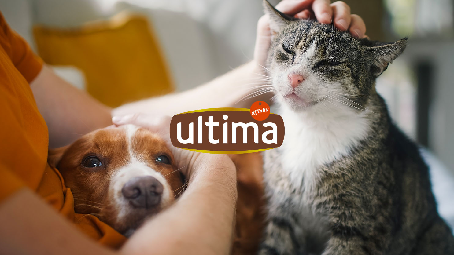 Ultima project